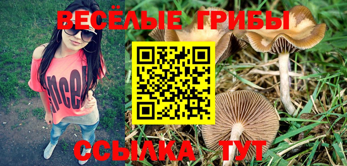 Псилоцибиновые грибы прущие грибы Краснокаменск
